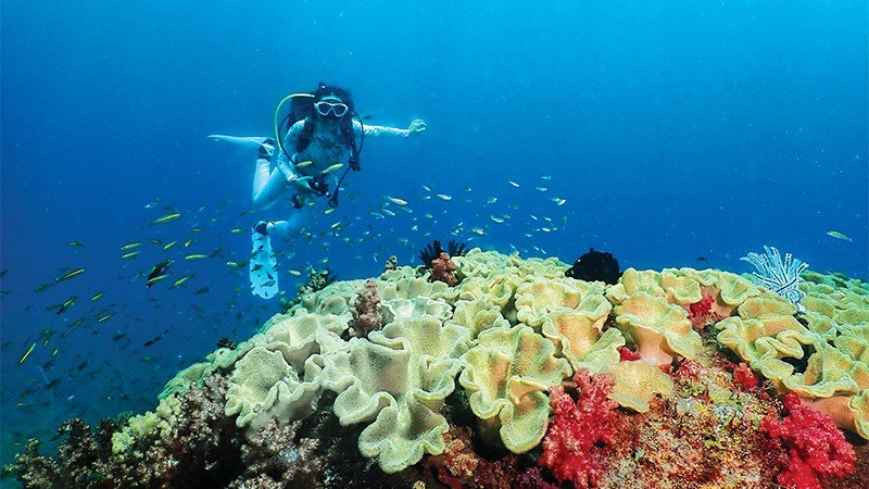 Miri Diving & Snorkeling