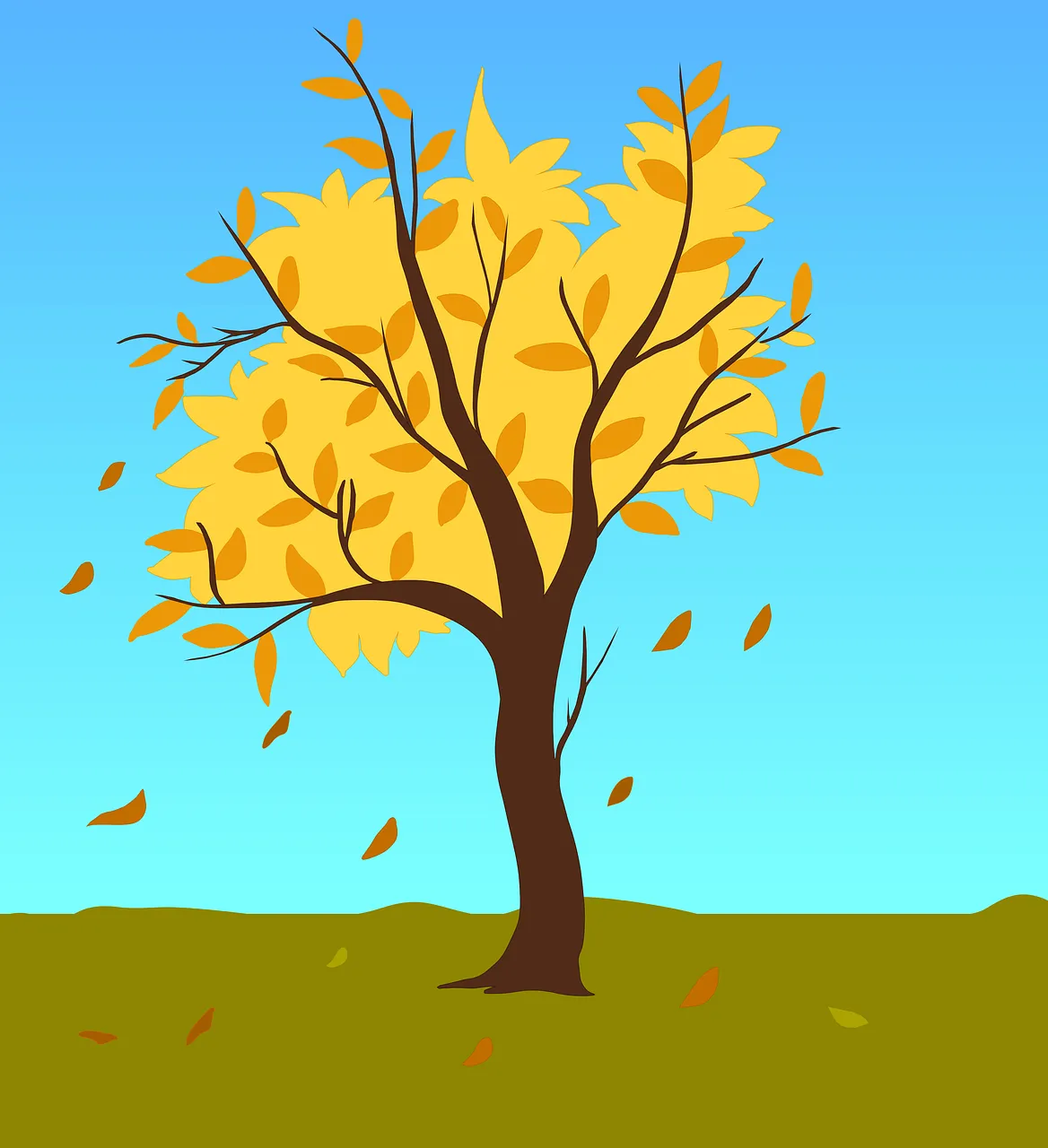 Elak Kesilapan Beli Rumah Pertama di Miri: Masalah dan Tips Hartanah Sarawak