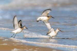 Panduan Lengkap Pembiayaan Rumah dan Kelayakan Loan di Miri dan Sarawak