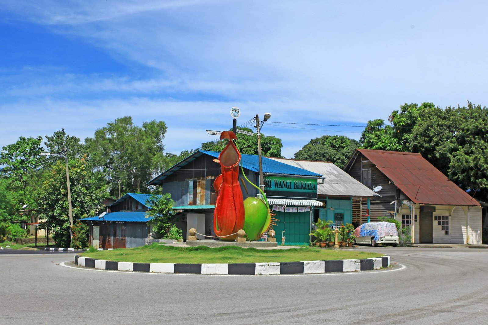 rustic roundabout featuring giant pitcher plant