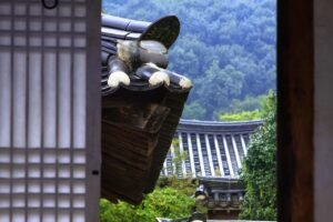 美里买房选哪个住宅区？详解各大地区居住环境、生活便利与价格区间，适合不同家庭和投资者的理性选择