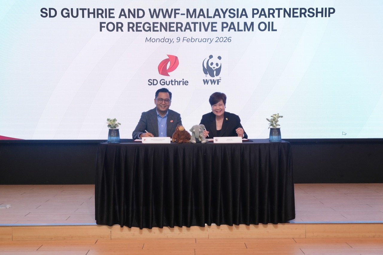 Bp10 jw wwf sdguthrie sabah p1 Large 1 k0wM3y