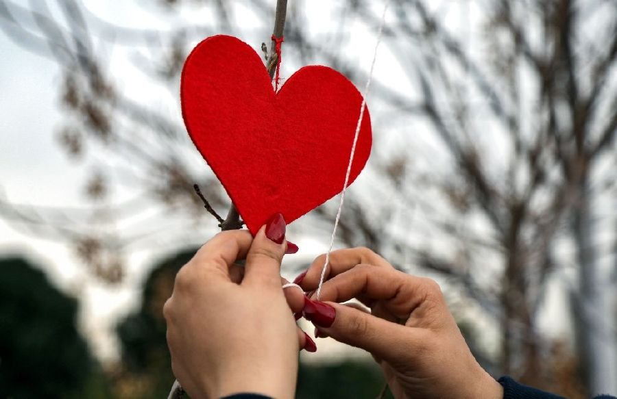 love scam 9ooesY