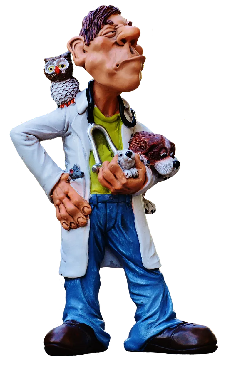 Practical career advice for mid-career professionals relocating to Miri Sarawak