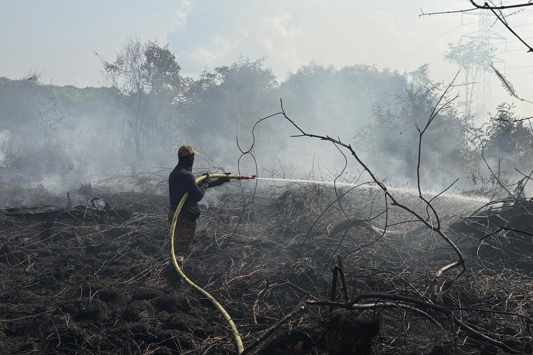 Sbw 280328 mu NCBBushFire yLpw20