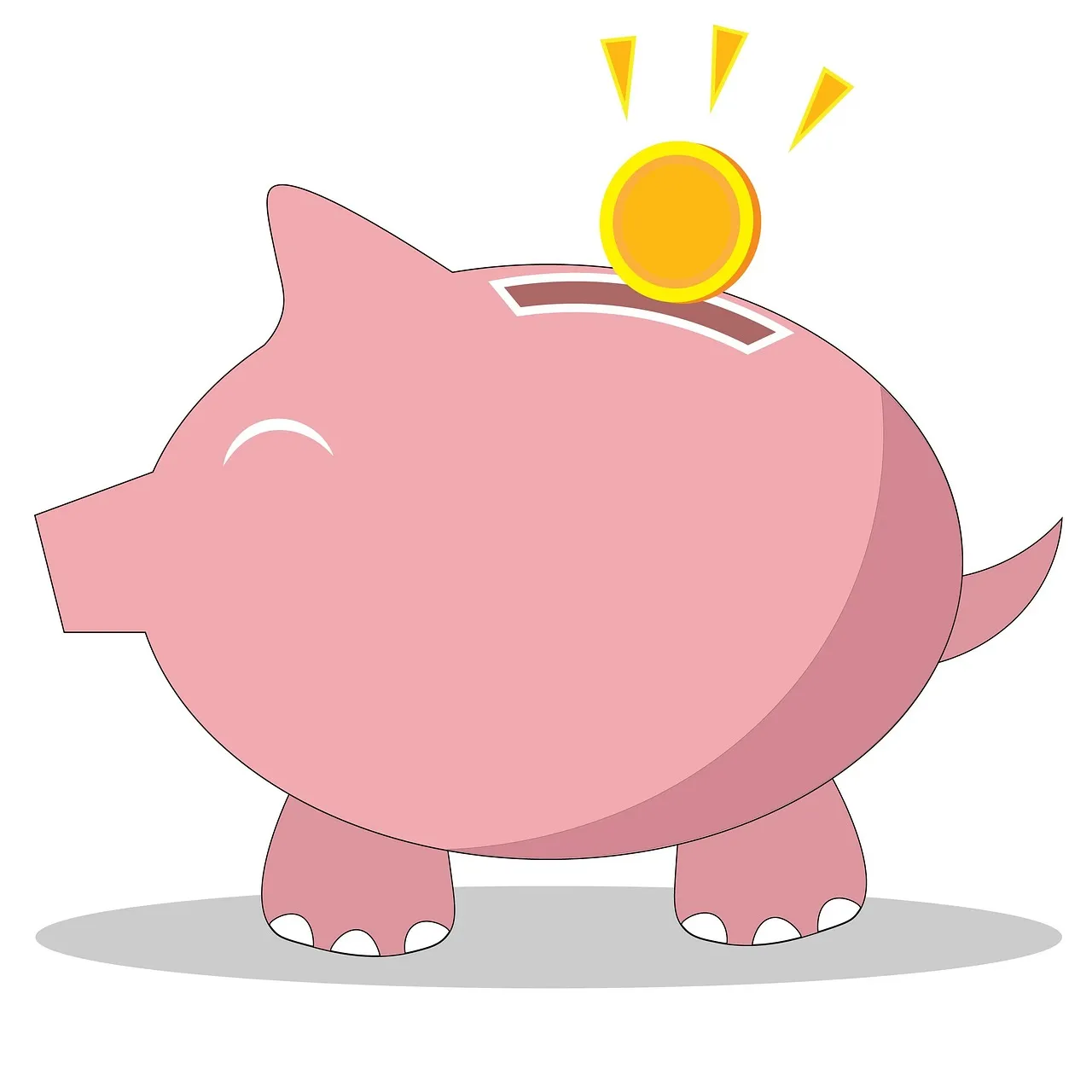 Income Stability or Growth Risk How Miri Residents Can Match Investment Vehicles