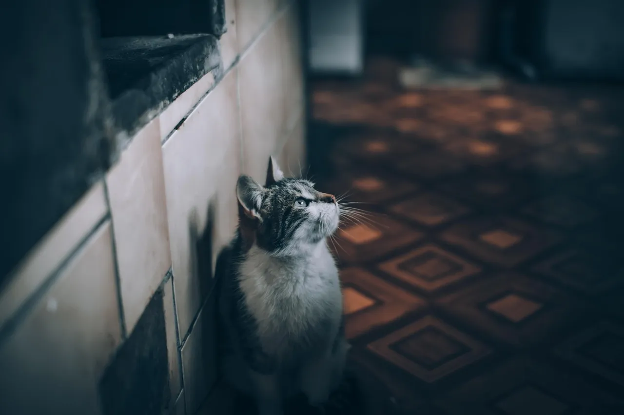 Legal Steps for a Smooth Property Sale in Miri, Sarawak