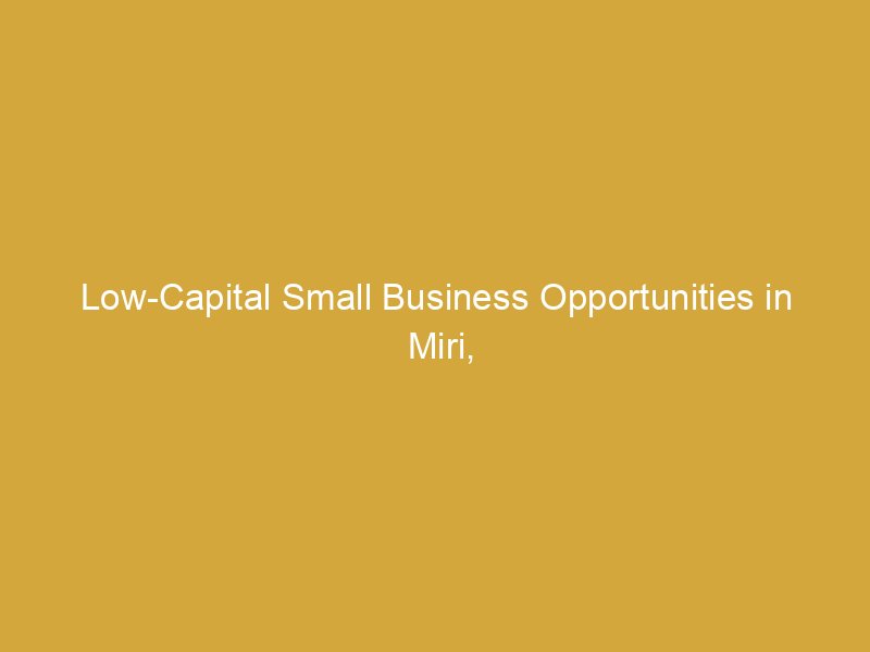 low capital small business opportunities in miri sarawak for new entrepreneurs 169266 126aa
